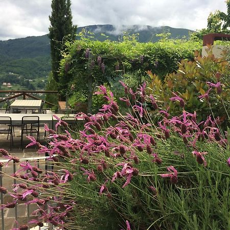 Agriturismo Braccicorti Hotell Pieve Fosciana Eksteriør bilde