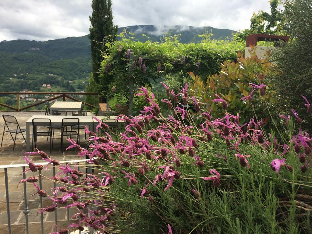 Agriturismo Braccicorti Hotell Pieve Fosciana Eksteriør bilde