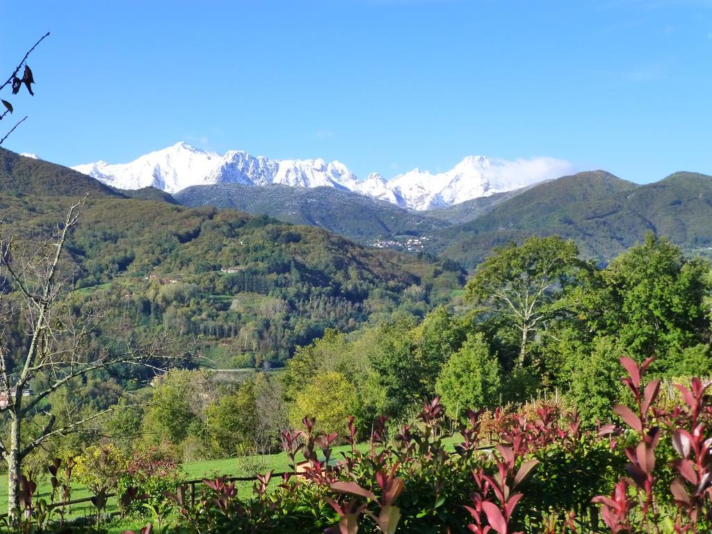 Agriturismo Braccicorti Hotell Pieve Fosciana Eksteriør bilde