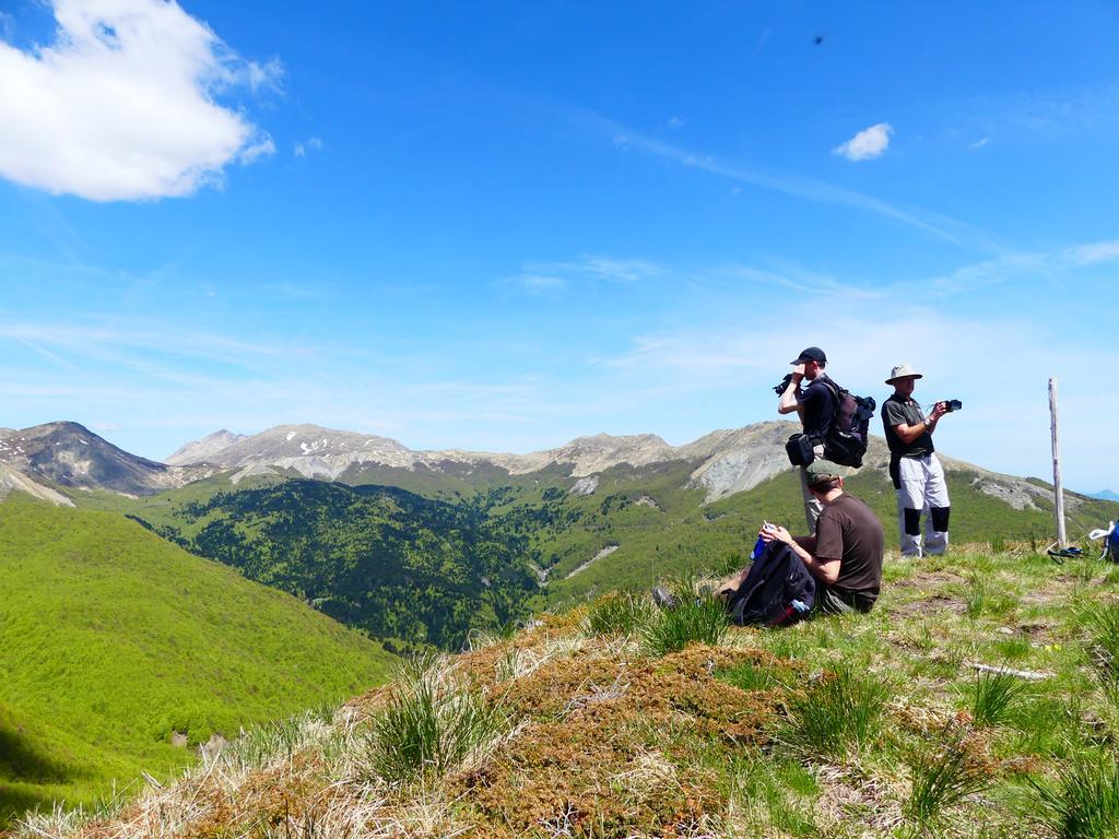 Agriturismo Braccicorti Hotell Pieve Fosciana Eksteriør bilde