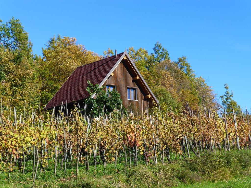Agriturismo Braccicorti Hotell Pieve Fosciana Eksteriør bilde