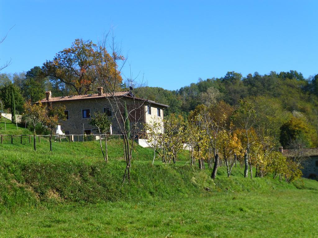 Agriturismo Braccicorti Hotell Pieve Fosciana Eksteriør bilde