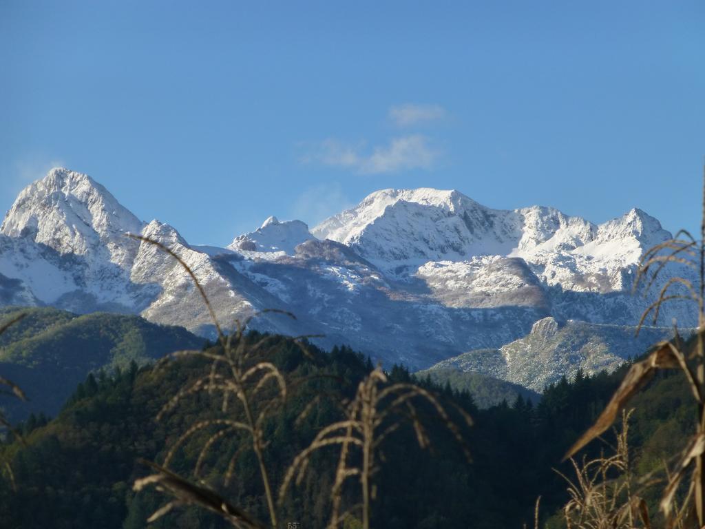 Agriturismo Braccicorti Hotell Pieve Fosciana Eksteriør bilde