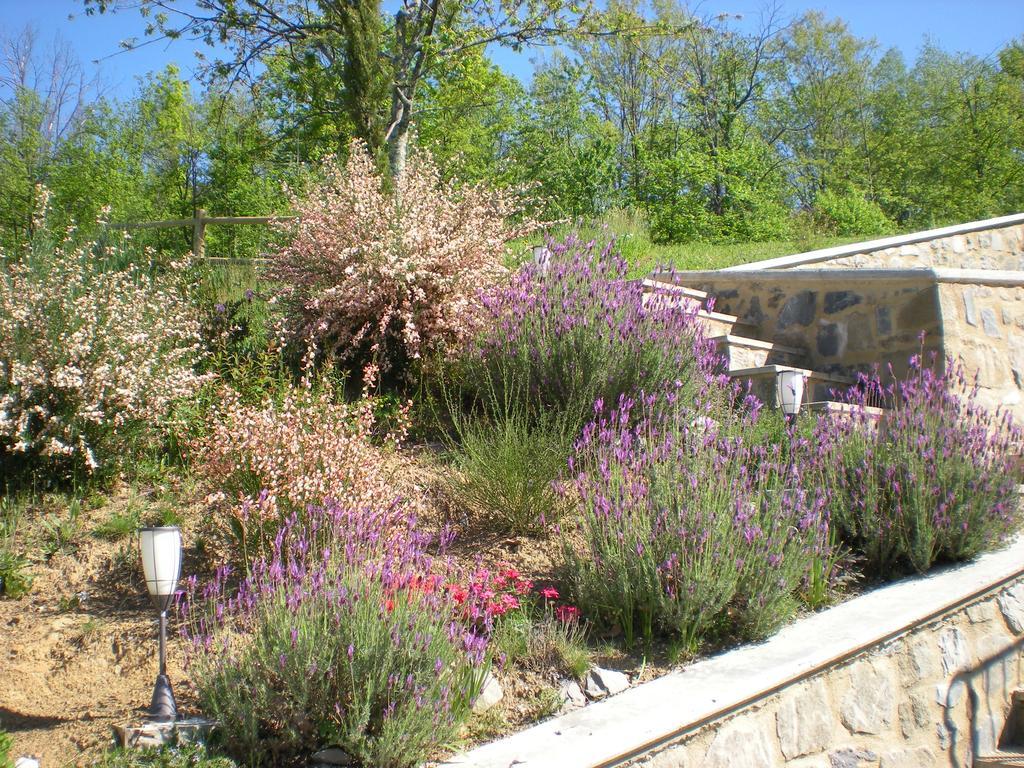 Agriturismo Braccicorti Hotell Pieve Fosciana Eksteriør bilde