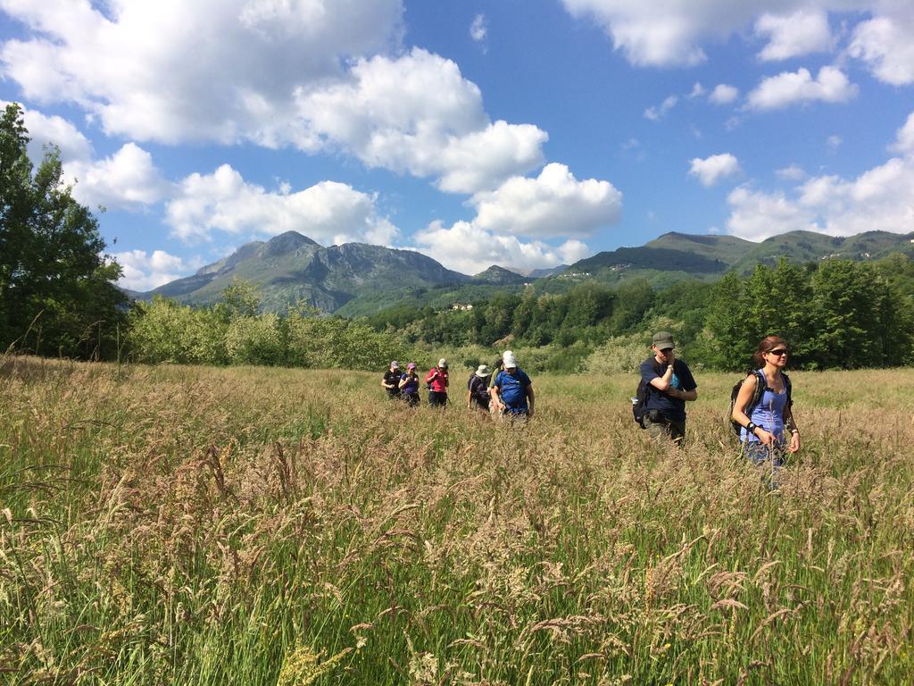 Agriturismo Braccicorti Hotell Pieve Fosciana Eksteriør bilde
